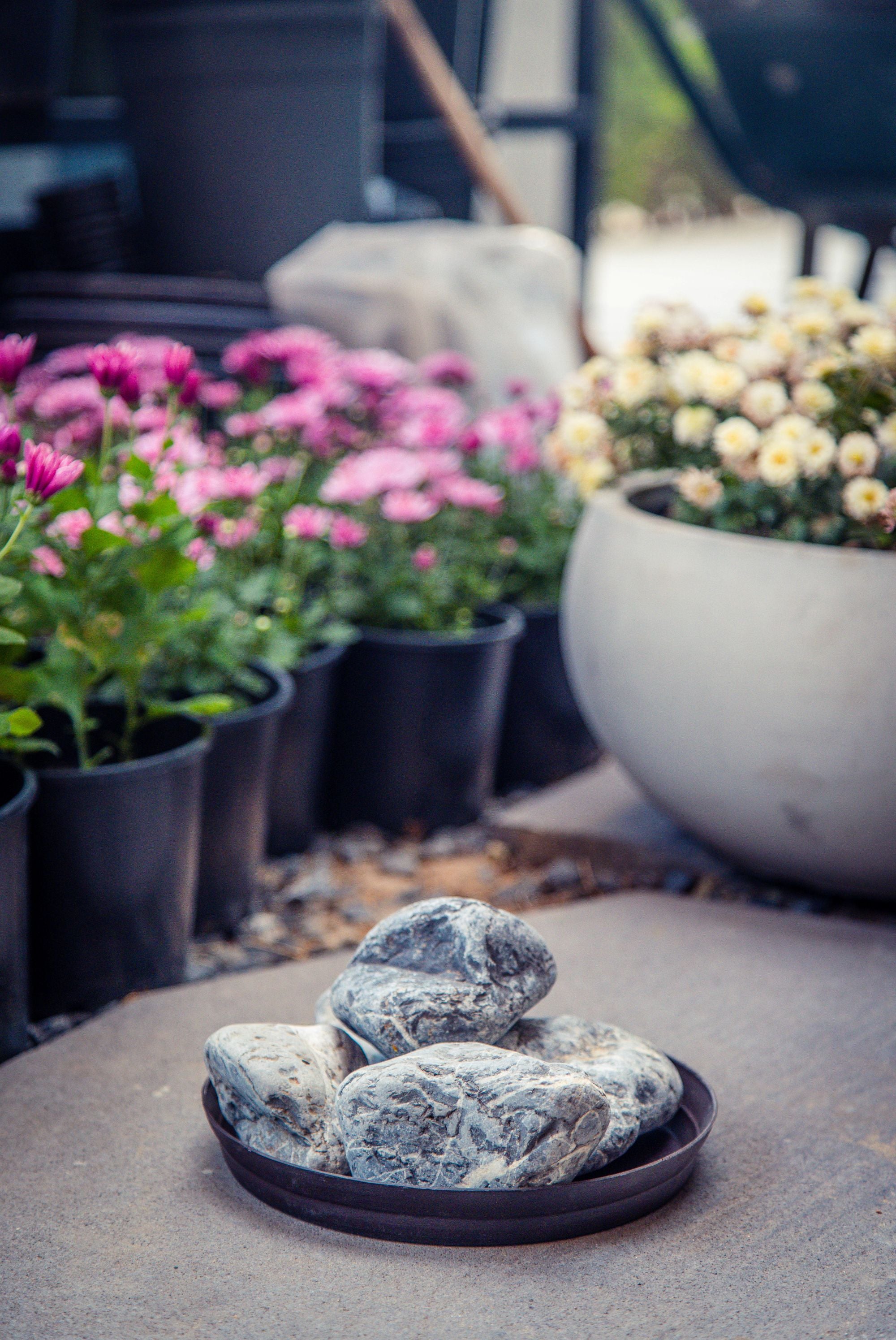 Rocks