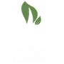 Botanica